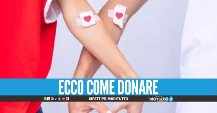 Emergenza sangue negli ospedale di Napoli, scatta l'appello alla donazione