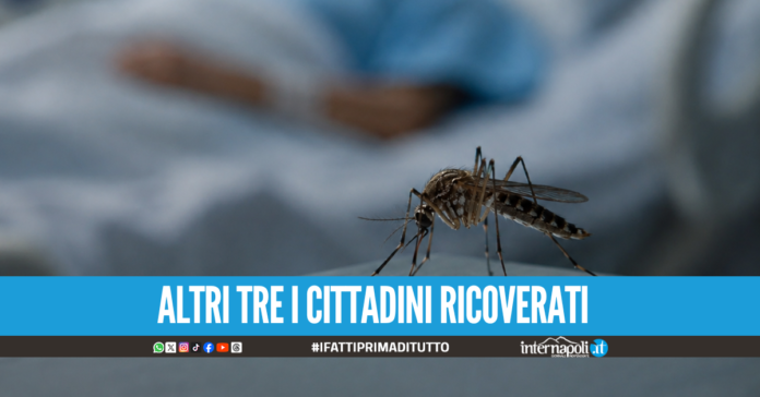 Dramma a Qualiano, muore 72enne contagiata dal virus West Nile