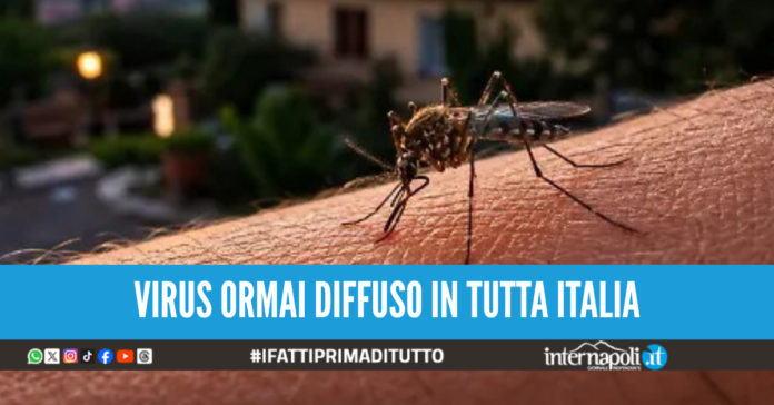 West Nile morti