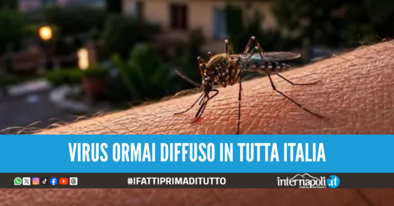 West Nile morti