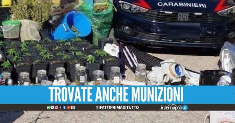 Aveva una serra di marijuana in casa, arrestato 47enne di Napoli