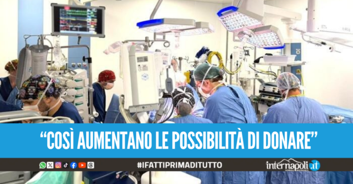Donazione a cuore fermo al Monaldi, prelevati fegato e cornee con procedura ad alta complessità