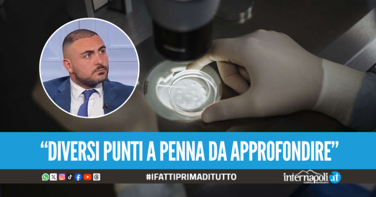 Bimba nata da embrione scambiato a Napoli, l'accusa: "Cartella clinica poco chiara"