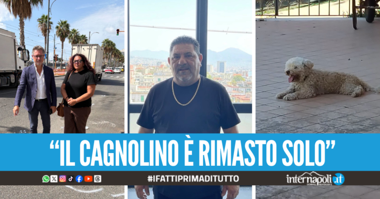 Umberto travolto e ucciso in via Marina, l'appello per il suo cane: "Puffy cerca una nuova famiglia"