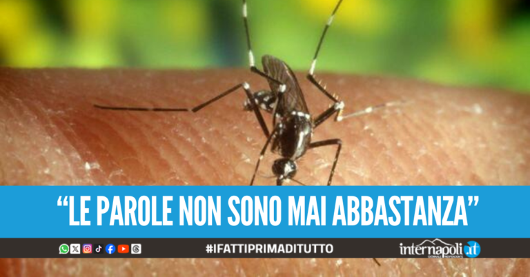 E' morta la cittadina di Calvizzano colpita dal West Nile, il sindaco: "Vicini ai familiari"