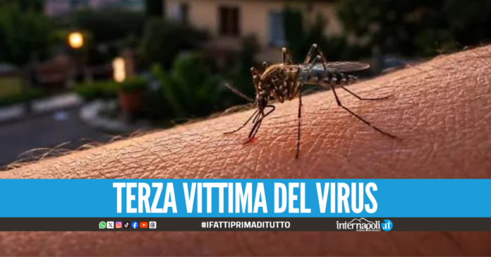 Nuova vittima del West Nile, uomo muore nell'Agro Aversano: è il terzo decesso