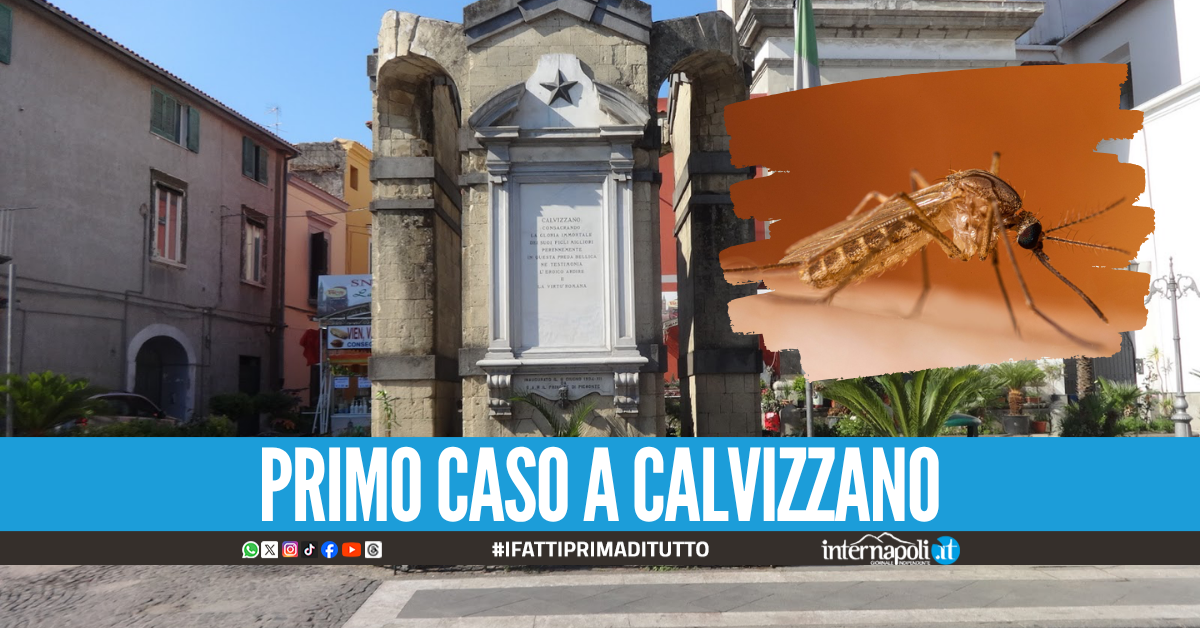 Primo caso di West Nile a Calvizzano, donna ricoverata al Cotugno
