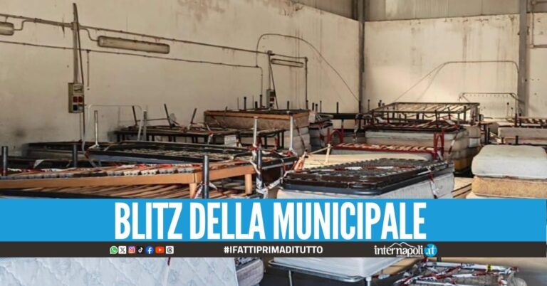 Case-pollaio scoperte nel Napoletano, il sindaco: "Sequestrati 500 materassi"