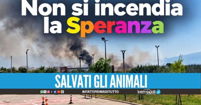 Paura ad Afragola, scoppia incendio nel bene confisca alla camorra