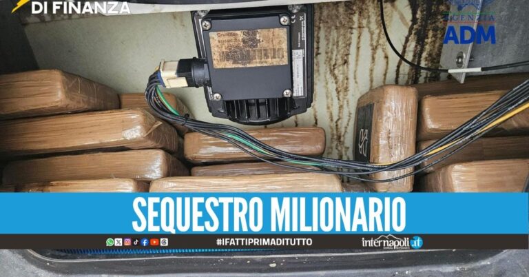 Sequestrati 53 kg di cocaina purissima, carico nascosto tra la frutta