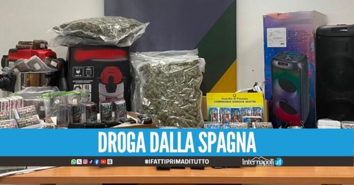 Nascondono 33 kg di droga nell'aspirapolvere e nelle casse bluetooth