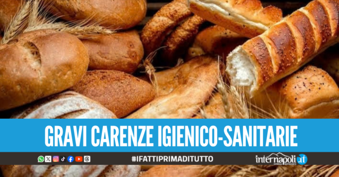 Blitz nel panificio a Poggioreale, sequestrati 380 kg di alimenti mal conservati