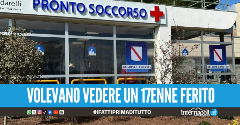 Raid al Cardarelli, irrompono al pronto soccorso e aggrediscono infermiere e guardie giurate