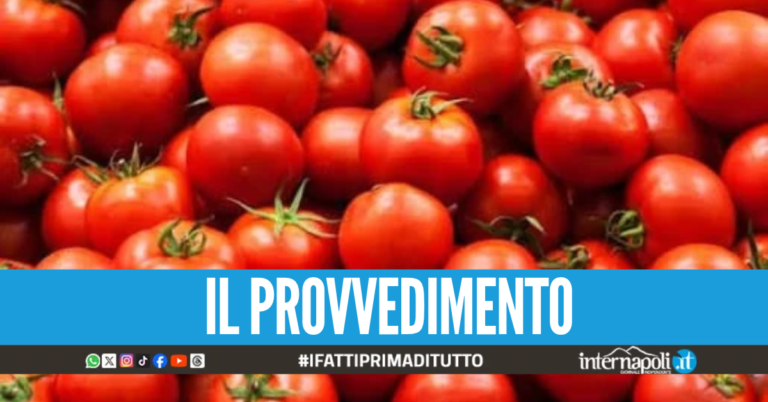 Rischio salmonella, a Napoli vietati i pomodori crudi in mense scolastiche e ospedali