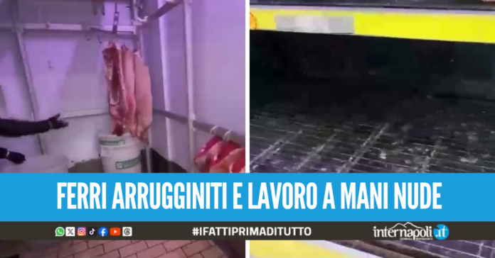 Sporcizia e carne pericolosa in macelleria ad Afragola, scatta il maxi sequestro
