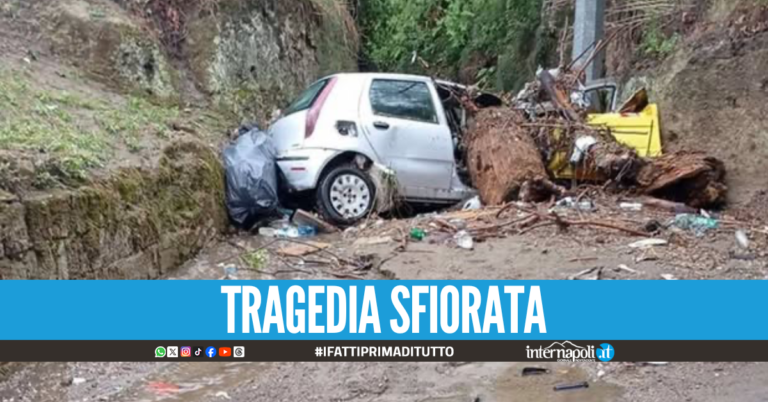 Paura tra Marano e Quarto, albero cade e distrugge una Fiat Punto