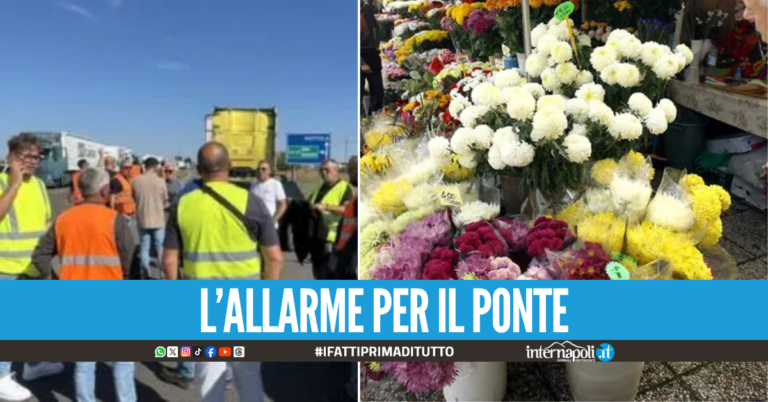 Blocco tir, allarme per i fiori di Ognissanti: "Rischiano di finire al macero"