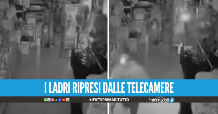 Furto alla Domar Detersivi di Varcaturo: ”C’è chi si alza per lavorare e chi per rubare”