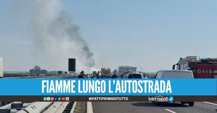 Assalto al portavalori, banditi lanciano chiodi lungo l'autostrada