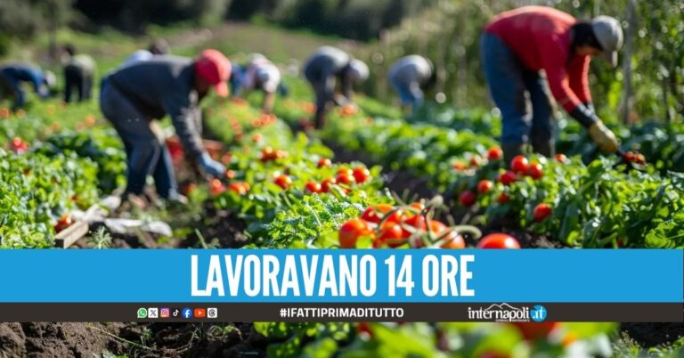 Braccianti pagati 80 centesimi a cassetta, presi i 'caporali' a Villa Literno