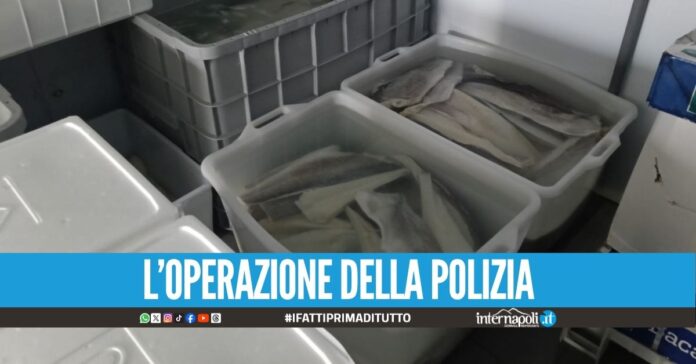 Sequestrata un’attività di lavorazione di baccalà e stoccafisso a Mugnano