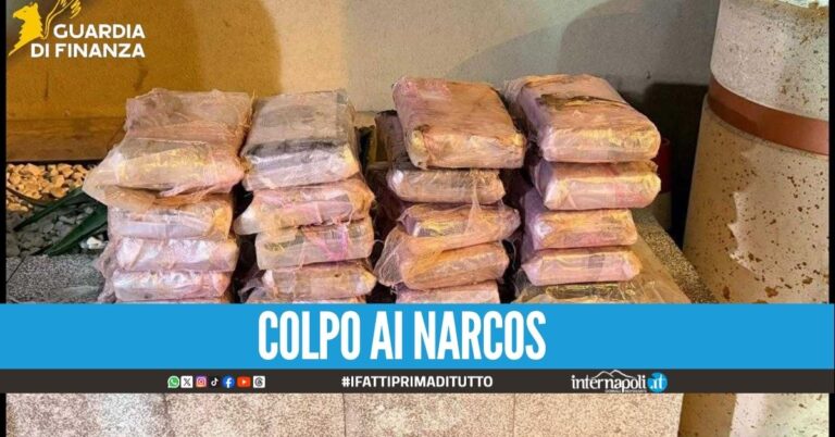Maxi sequestro di cocaina a Palermo, il carico valeva 2 milioni di euro