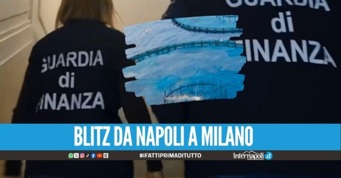 Orate, spigole e salmoni usati per le frodi: sequestrati 87 milioni di euro