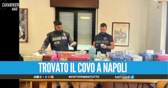 Traffico di farmaci anabolizzanti, 16 indagati da Napoli a Milano