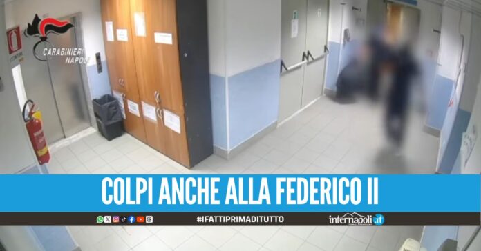 Furto di farmaci salvavita al Pascale, 3 arresti dopo il colpo da 800mila euro