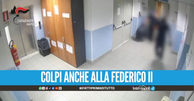 Furto di farmaci salvavita al Pascale, 3 arresti dopo il colpo da 800mila euro