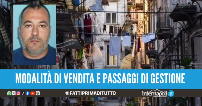 carmine grosso pentito